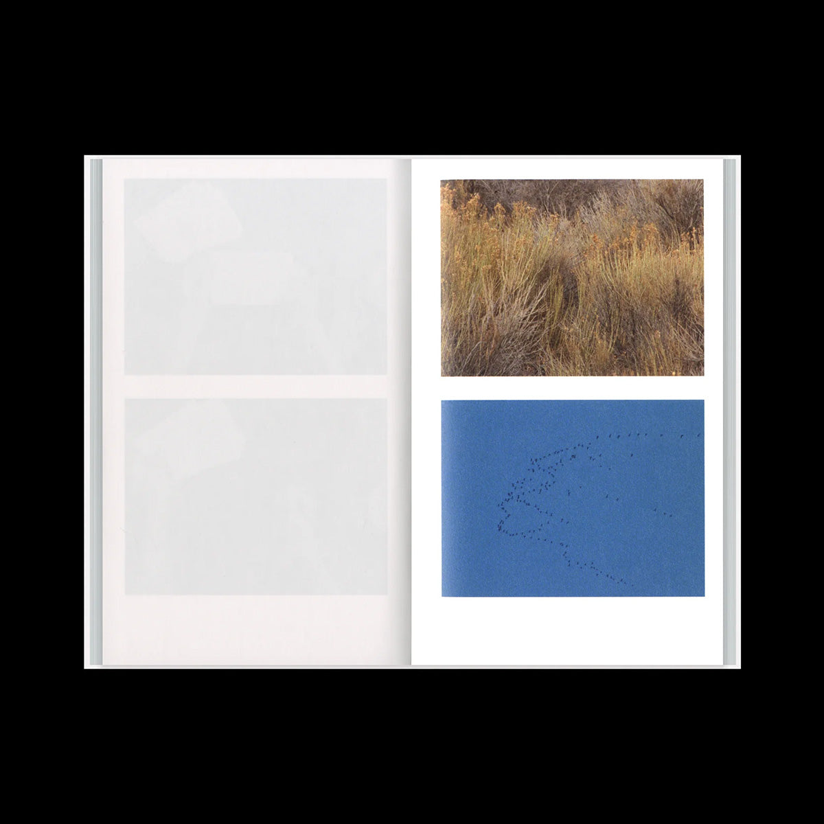 Collective study, enquiry #5