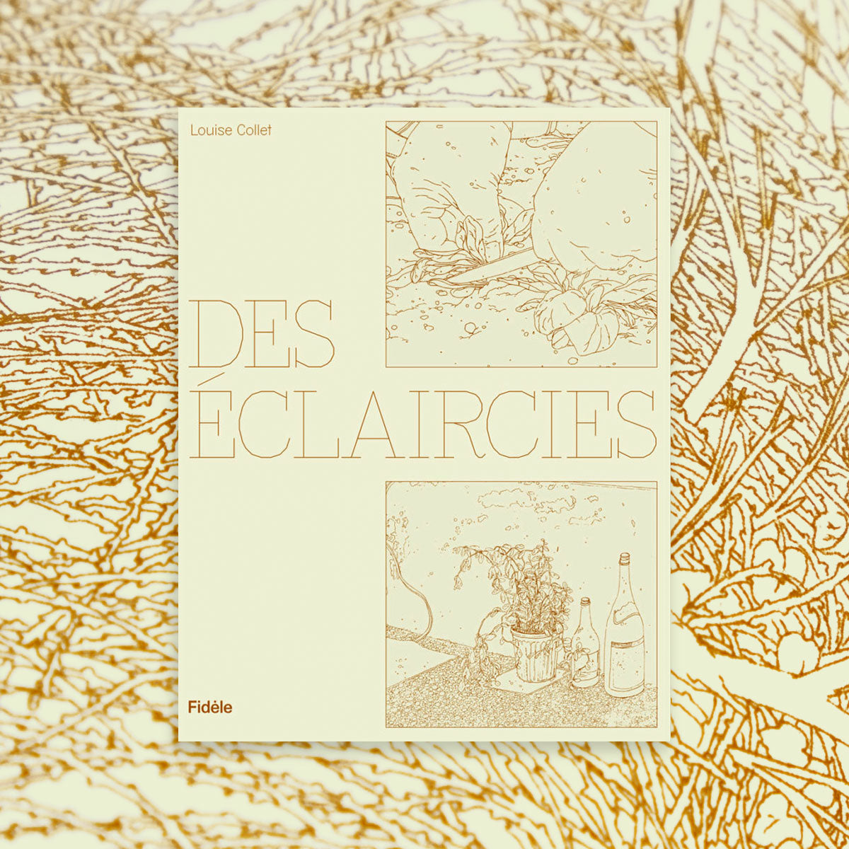 Clearings