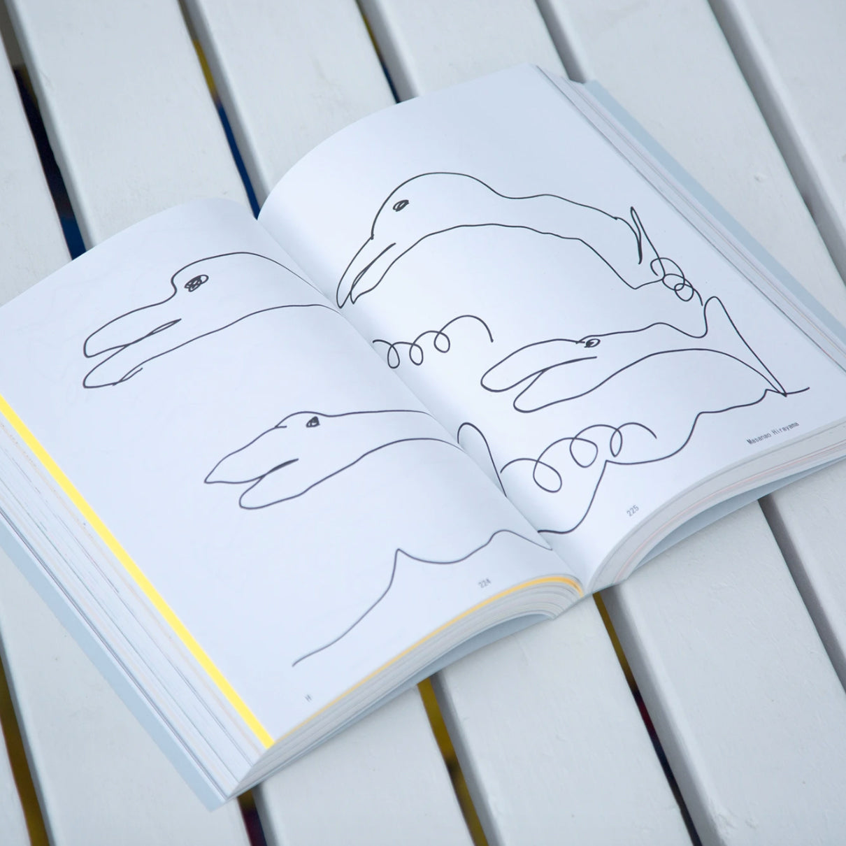 Shoplifter issue 9: drawings