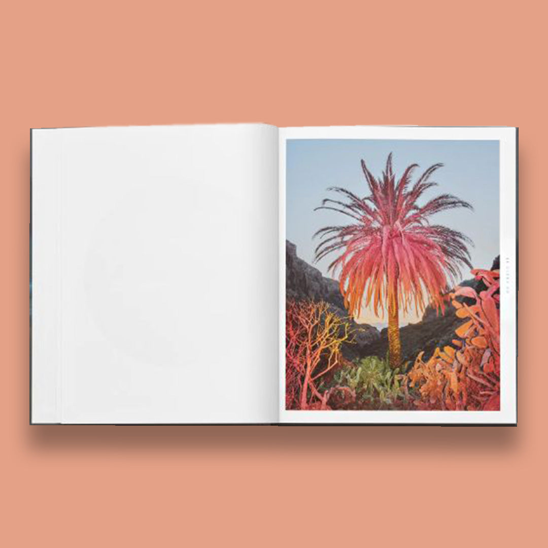 Inka & Niclas, extensions