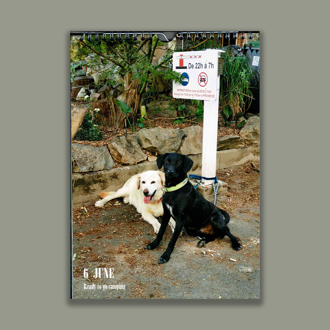 Waiting dogs calendar #5