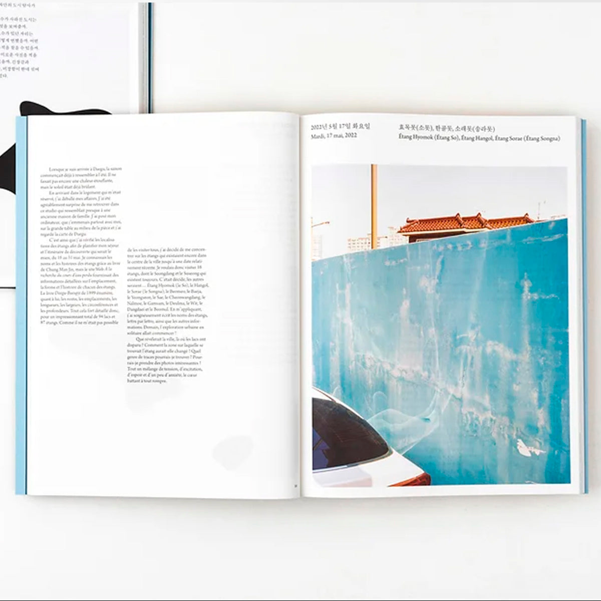 Daegu was a big pond