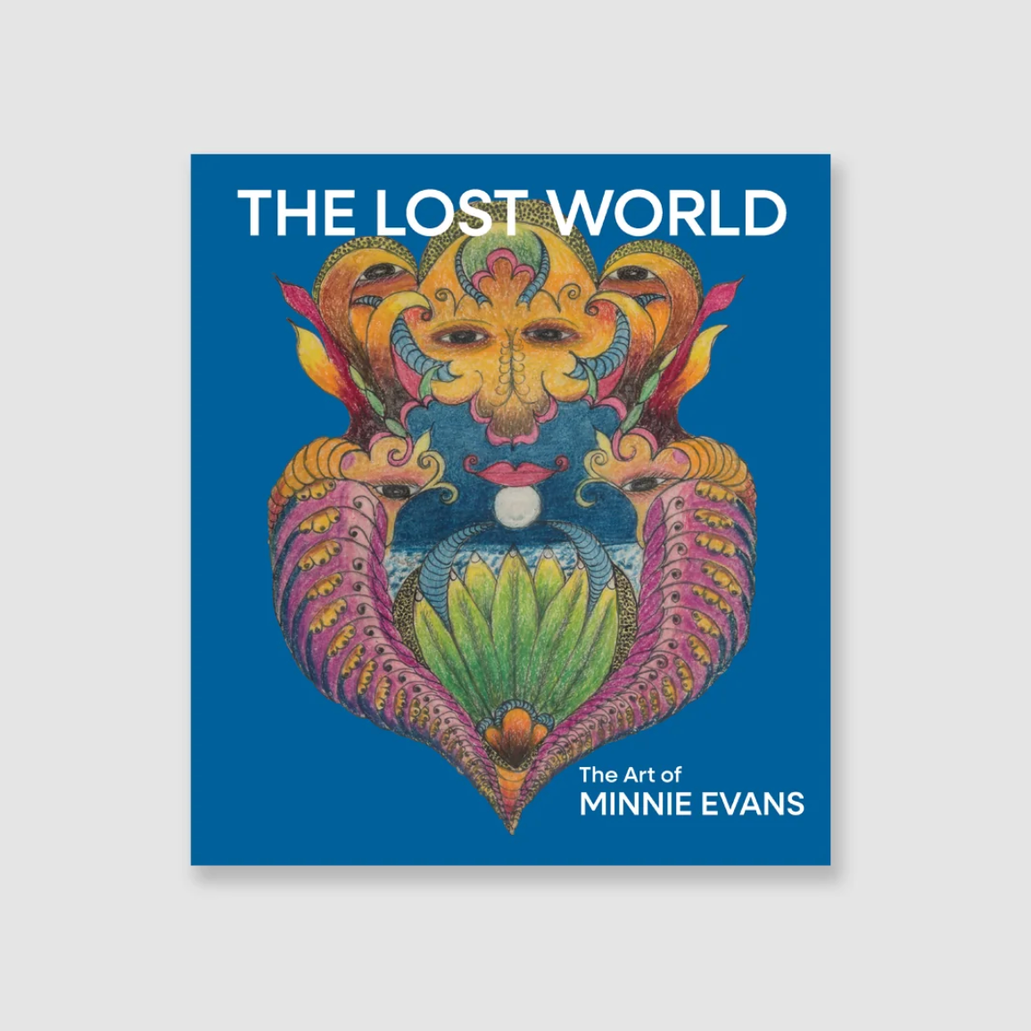 The Lost World The Art of Minnie Evans