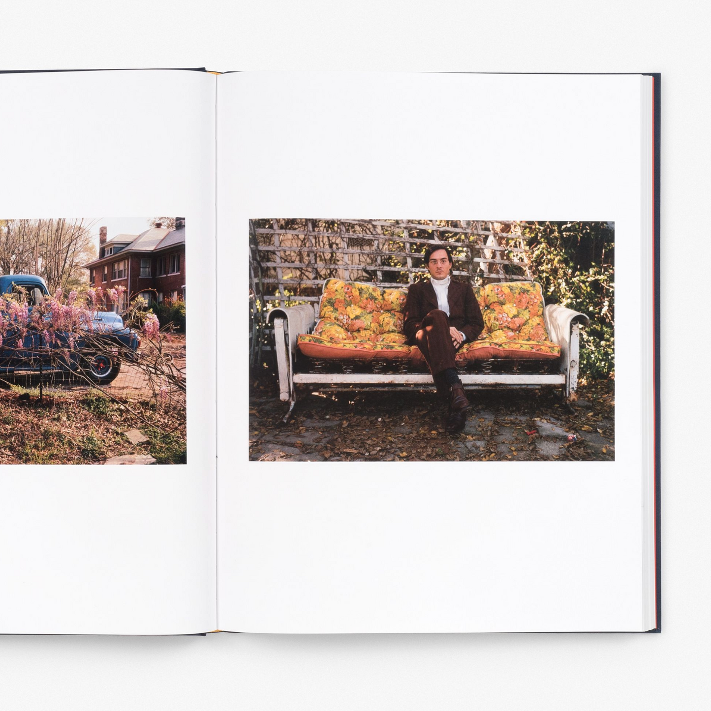 William Eggleston The Last Dyes