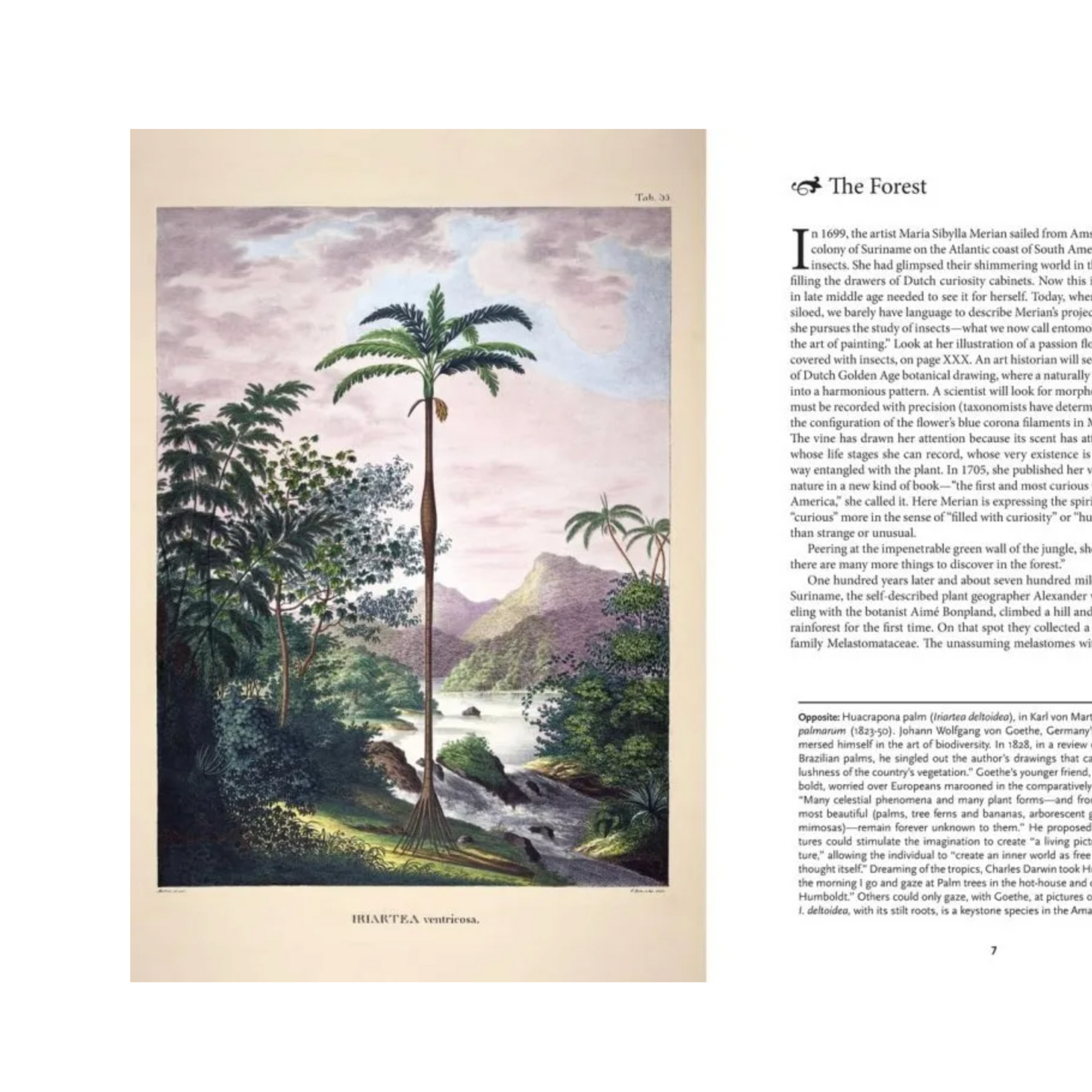 The Art of Biodiversity