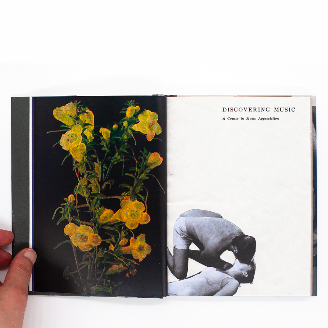 Wild Flowers
