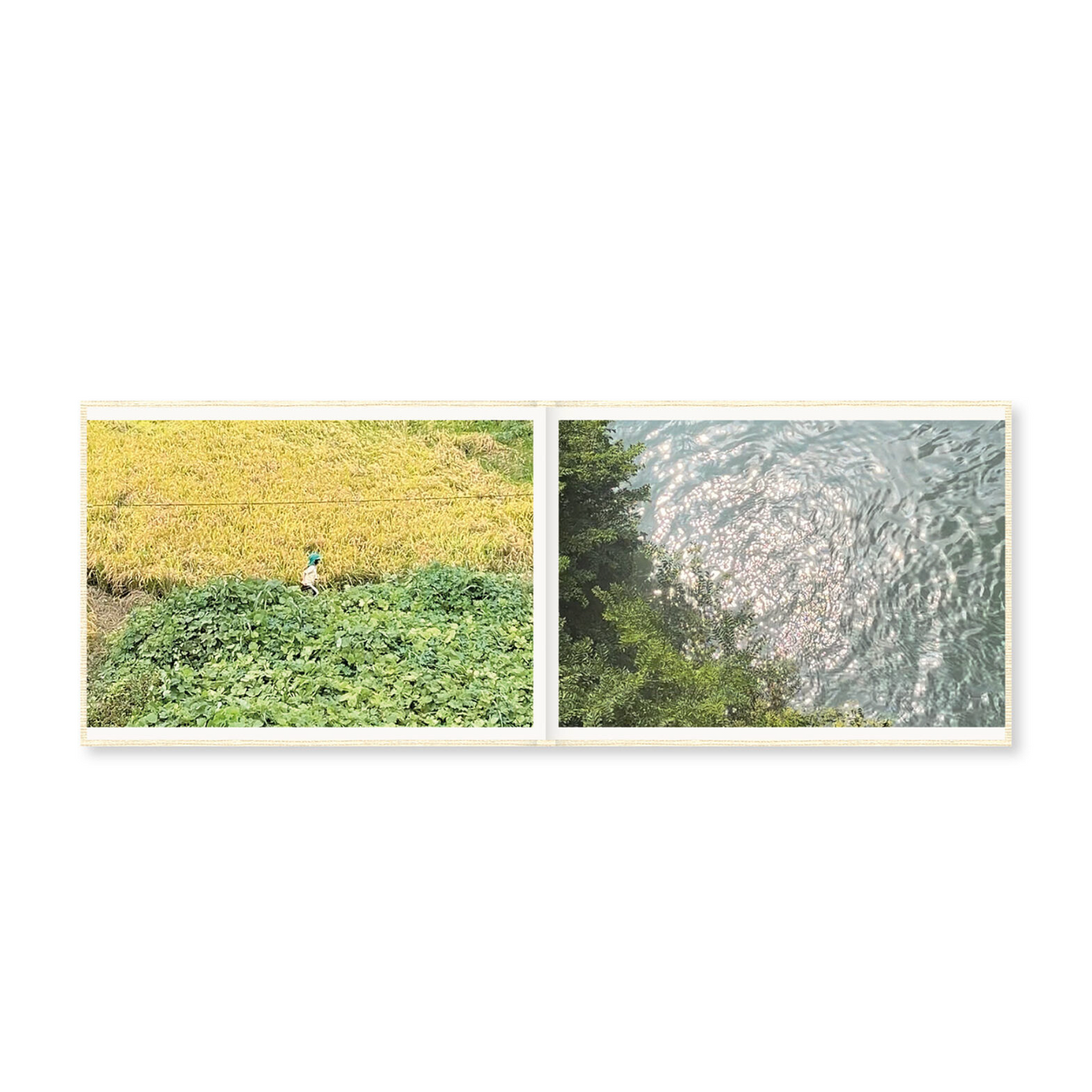 Cintia Tortosa Santisteban Screenshots of a Rice Field and its Surroundings