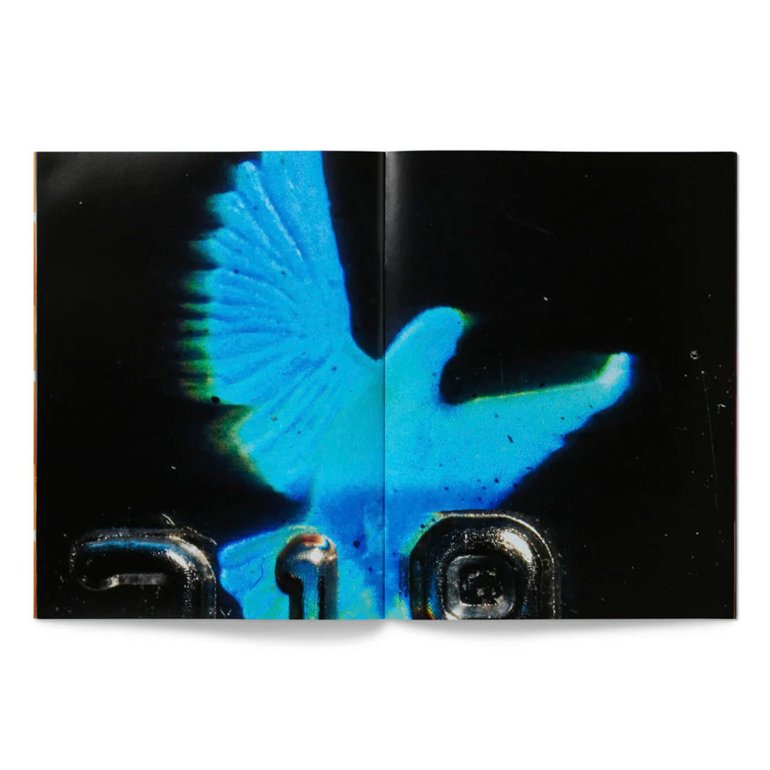 The people deserve beauty