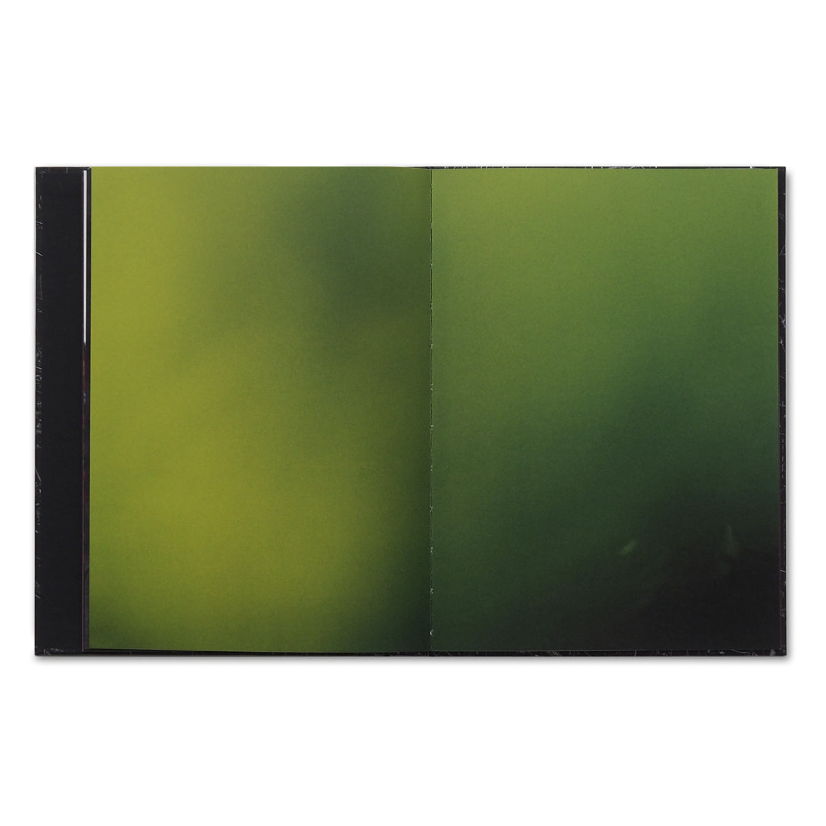 The moon belongs to everyone