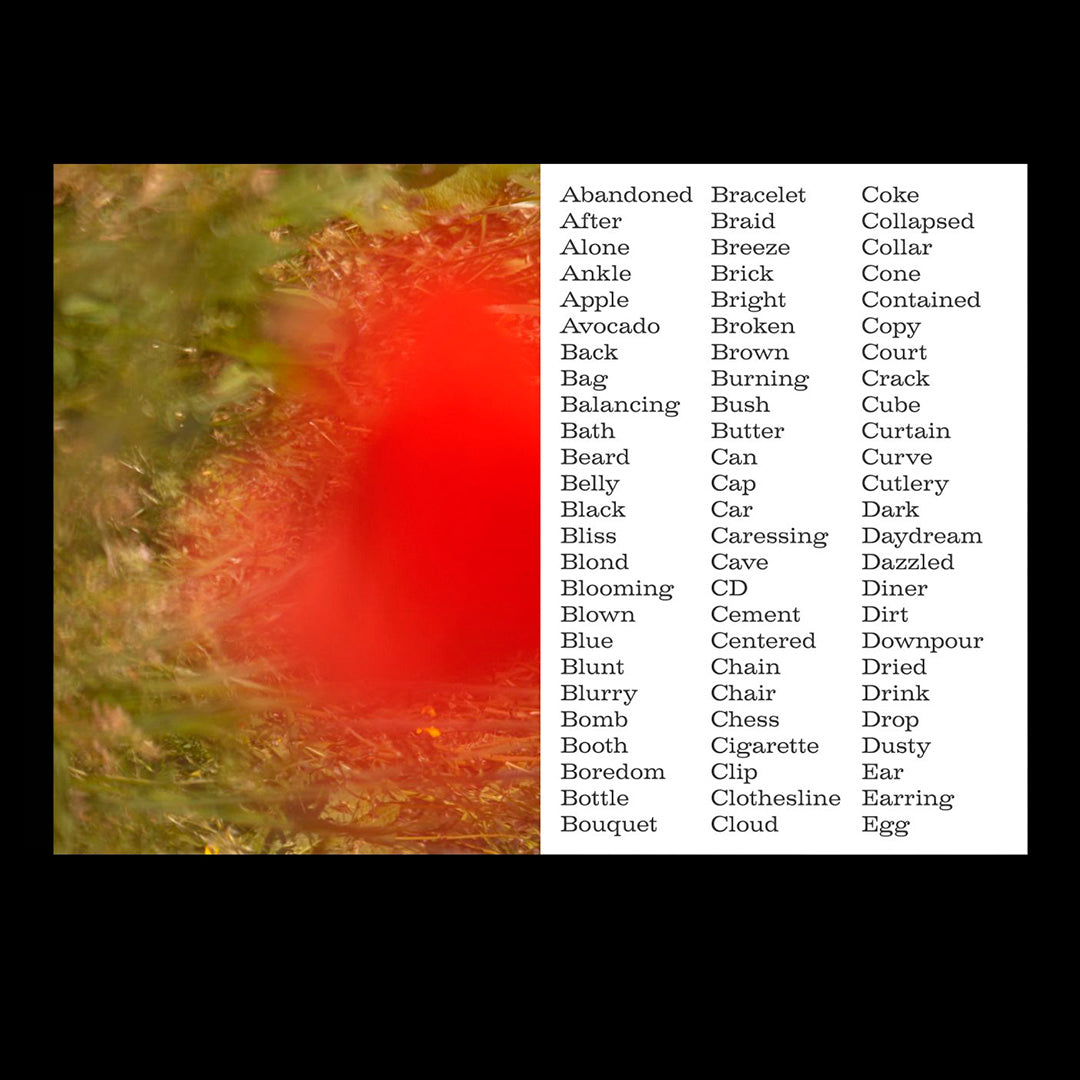 Lemons gazing at Mount Etna