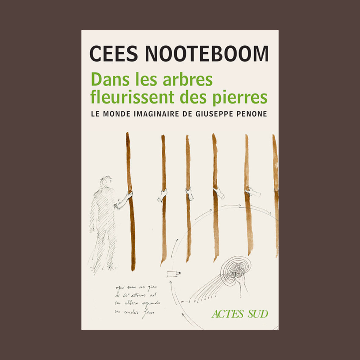 Dans les arbres fleurissent des pierres