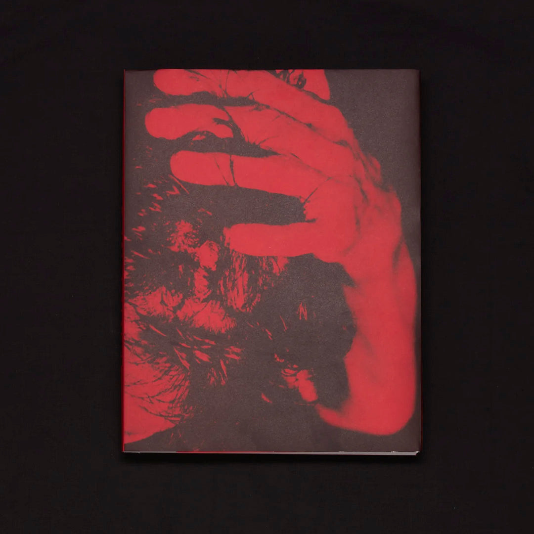 Flashpoint! protest photography in print