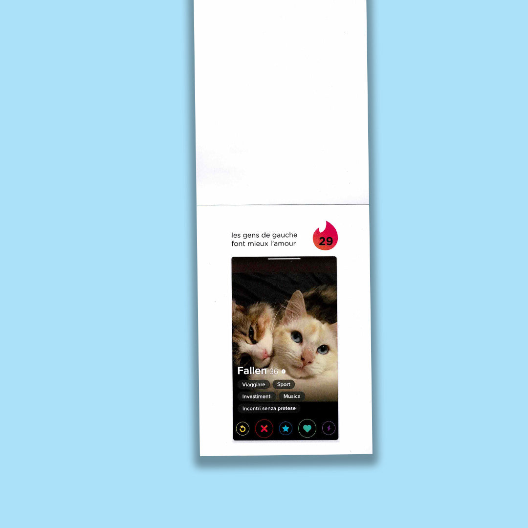 This is a calendar of 150 cats found on Tinder