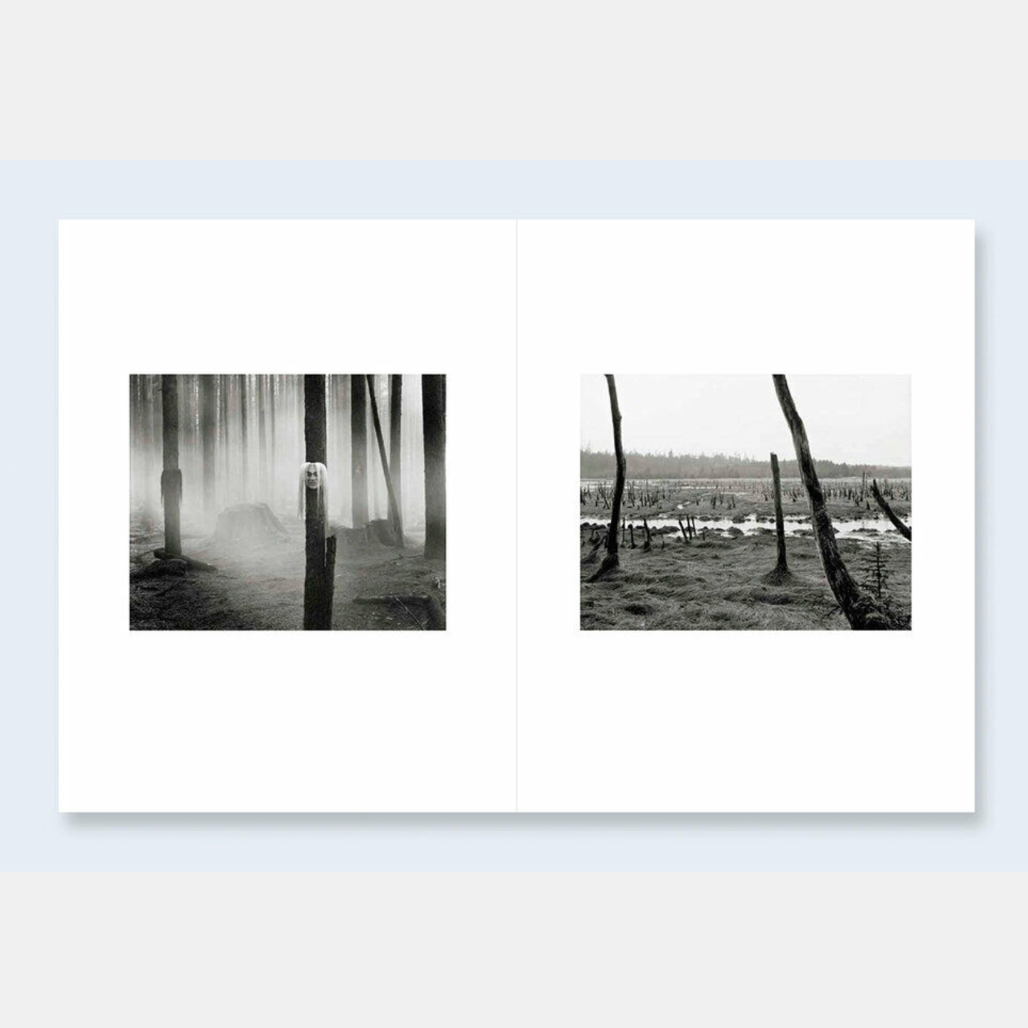 Jakob de Boer Where Ravens Cry /anglais