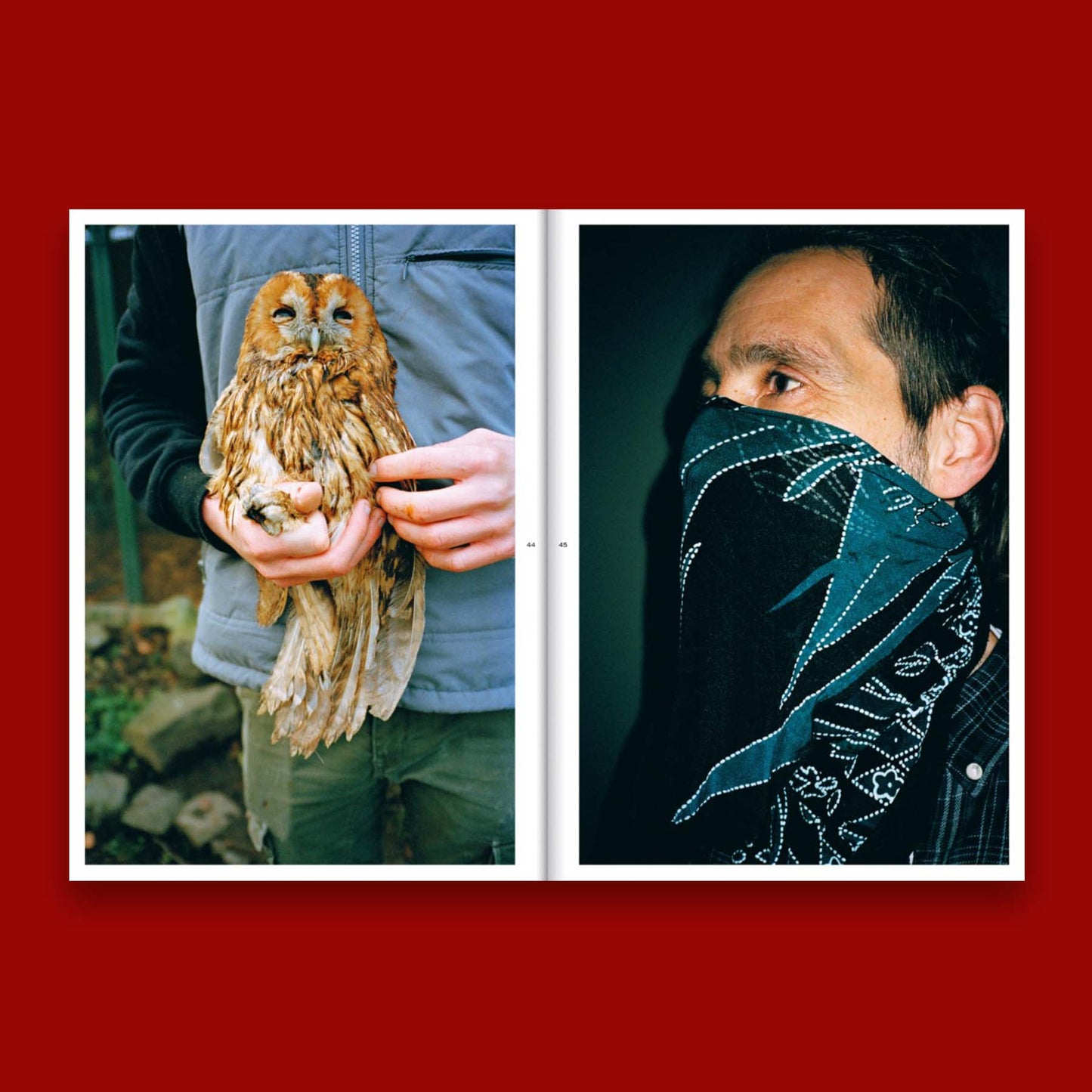 Birds of a Feather /anglais