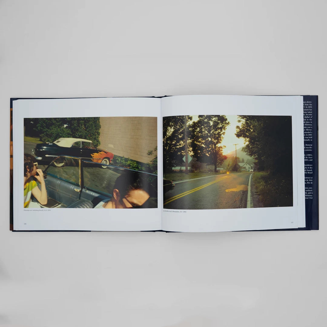 Nan Goldin The Ballad of Sexual Dependency
