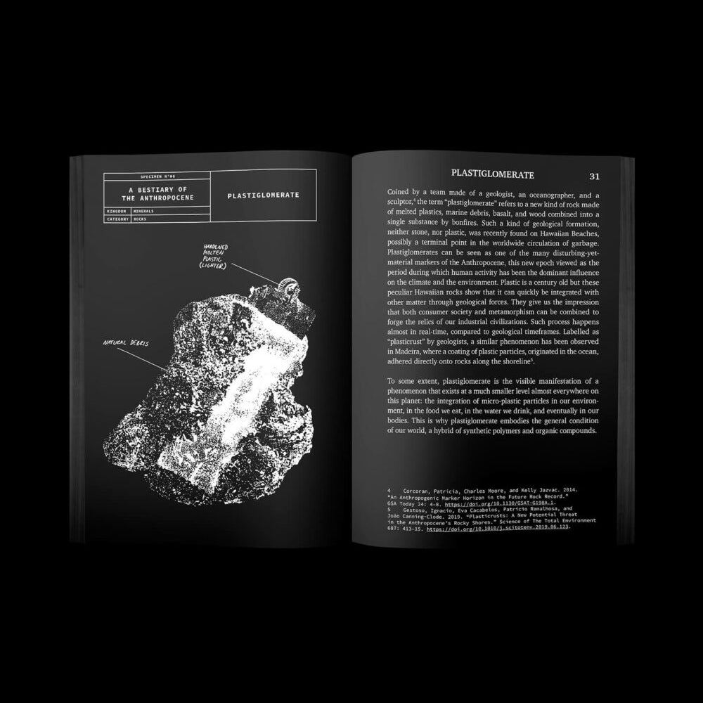 A bestiary of the anthropocene