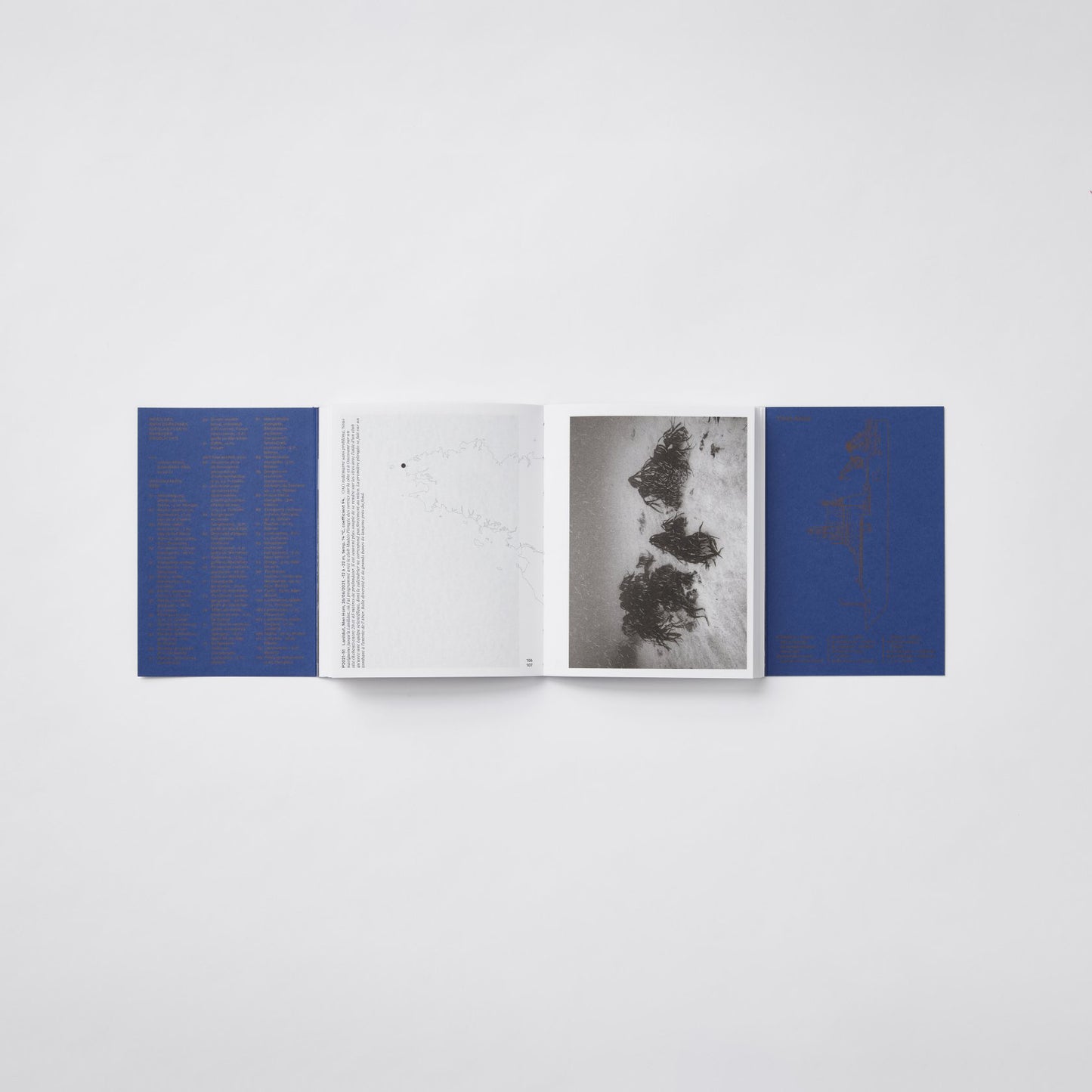 Initium Maris, carnet de bord II/III