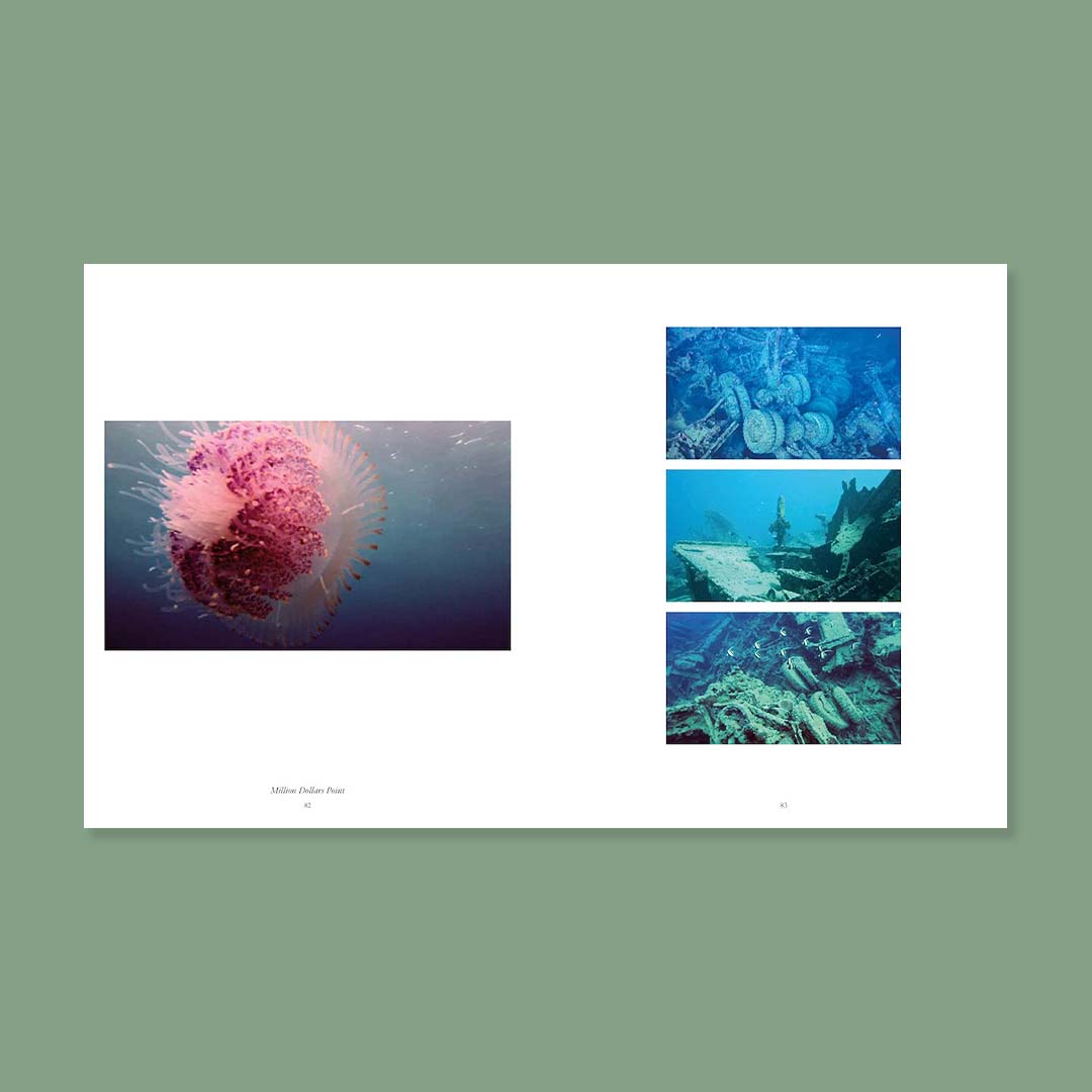Camille Henrot: Is Today Tomorrow