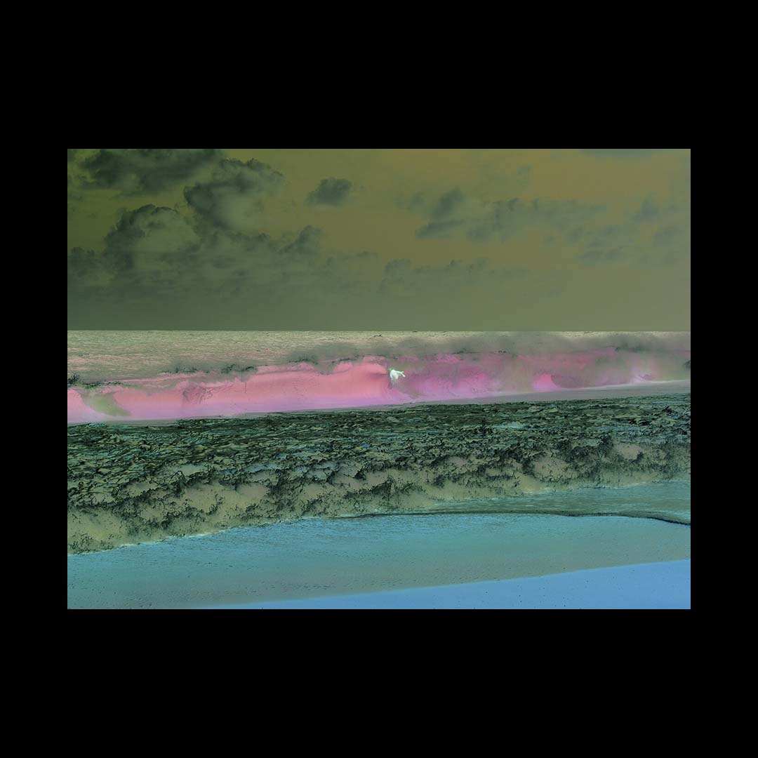 Richard Misrach Notations /anglais