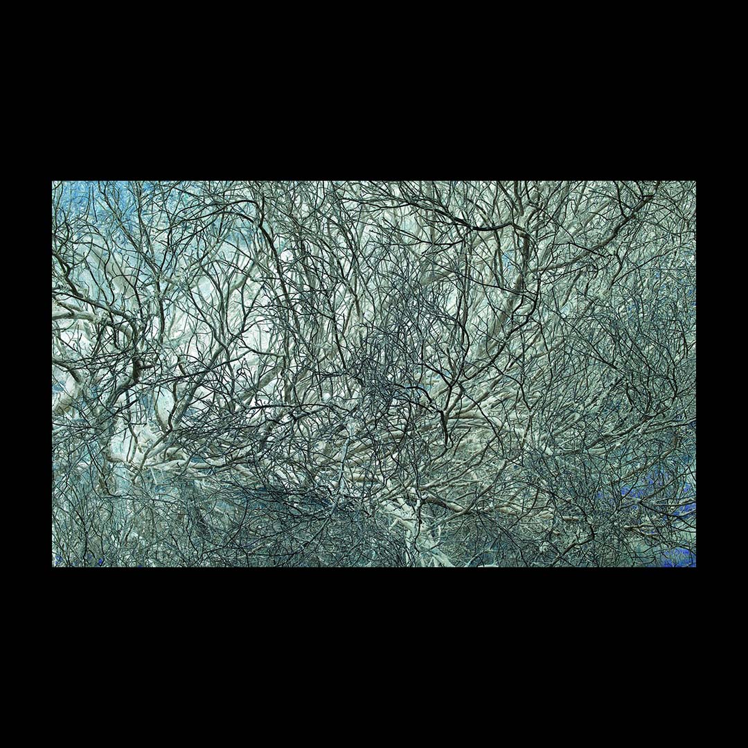 Richard Misrach Notations /anglais