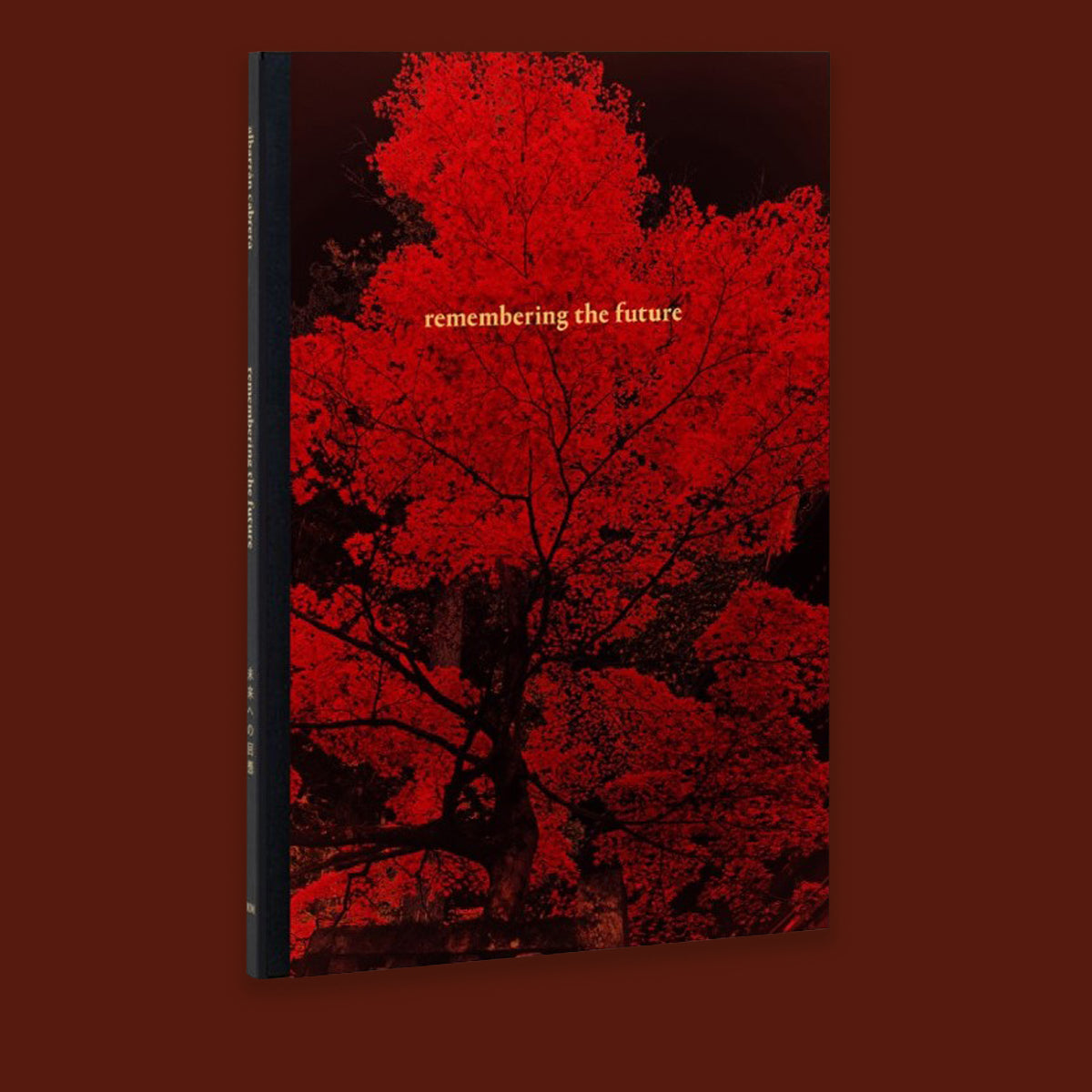 Albarran Cabrera Remembering the Future /anglais/espagnol