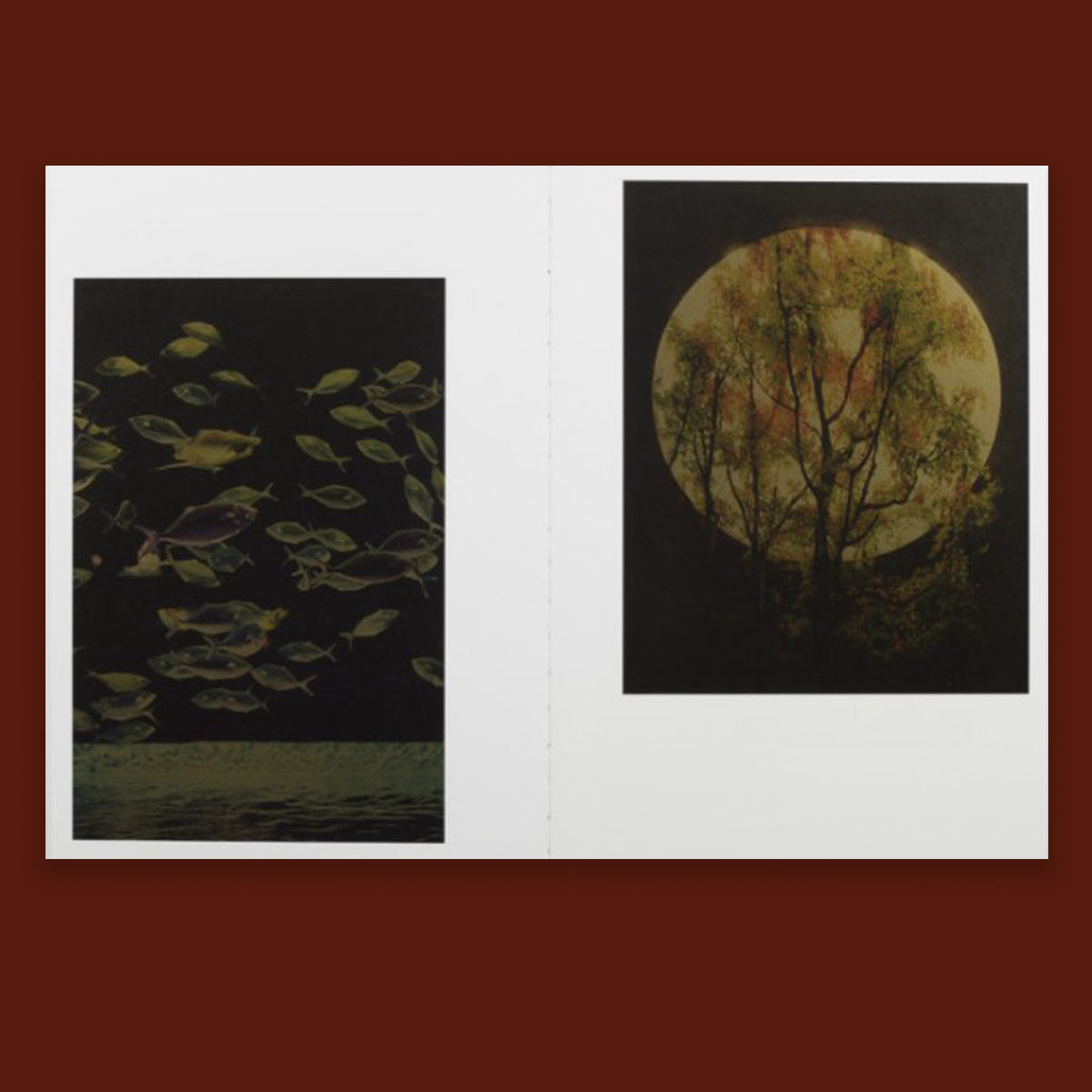 Albarran Cabrera Remembering the Future /anglais/espagnol