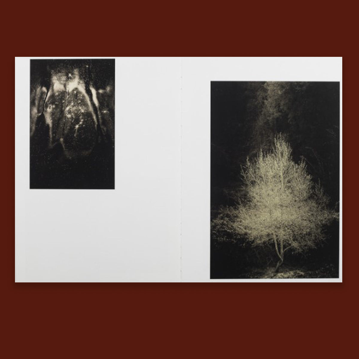 Albarran Cabrera Remembering the Future /anglais/espagnol