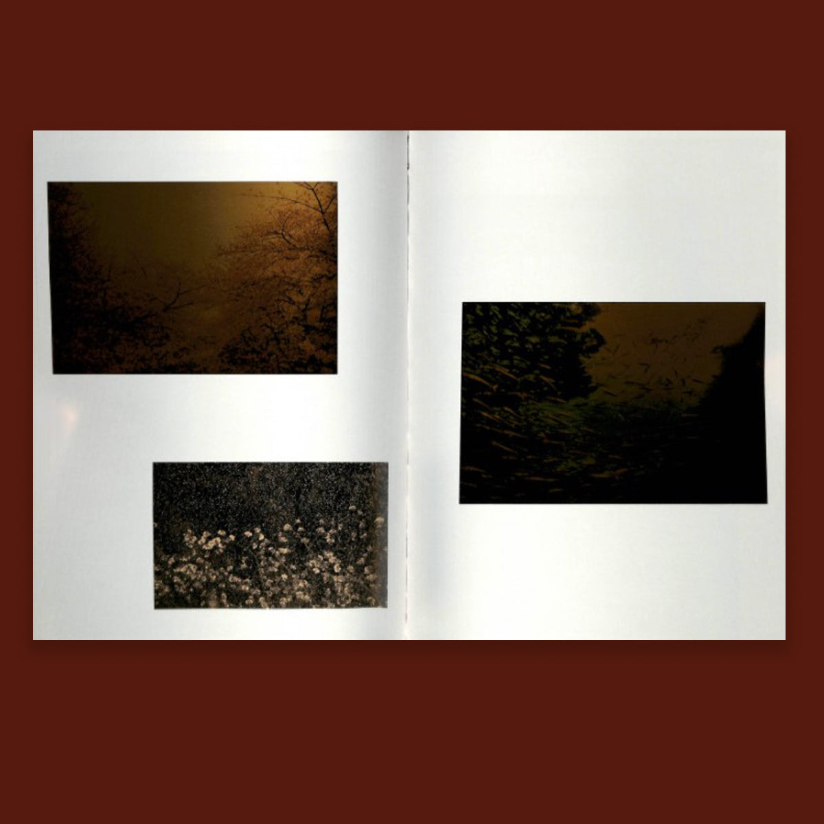 Albarran Cabrera Remembering the Future /anglais/espagnol