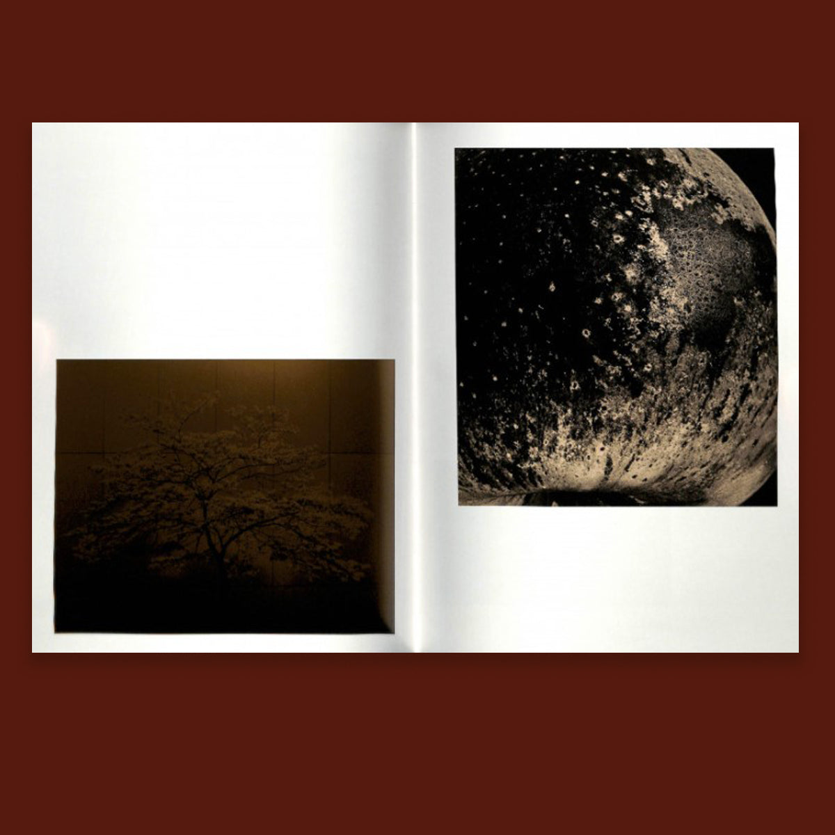 Albarran Cabrera Remembering the Future /anglais/espagnol