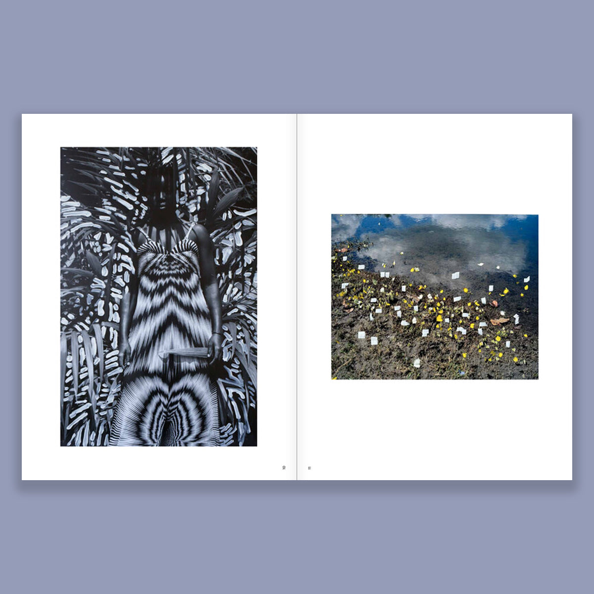 Phosphor (catalogue MEP)