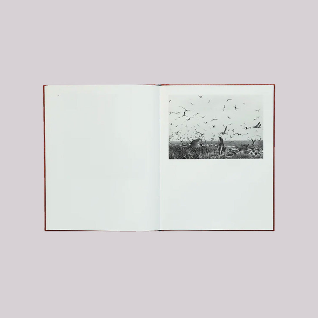 Des Oiseaux - Graciela Iturbide (version française)