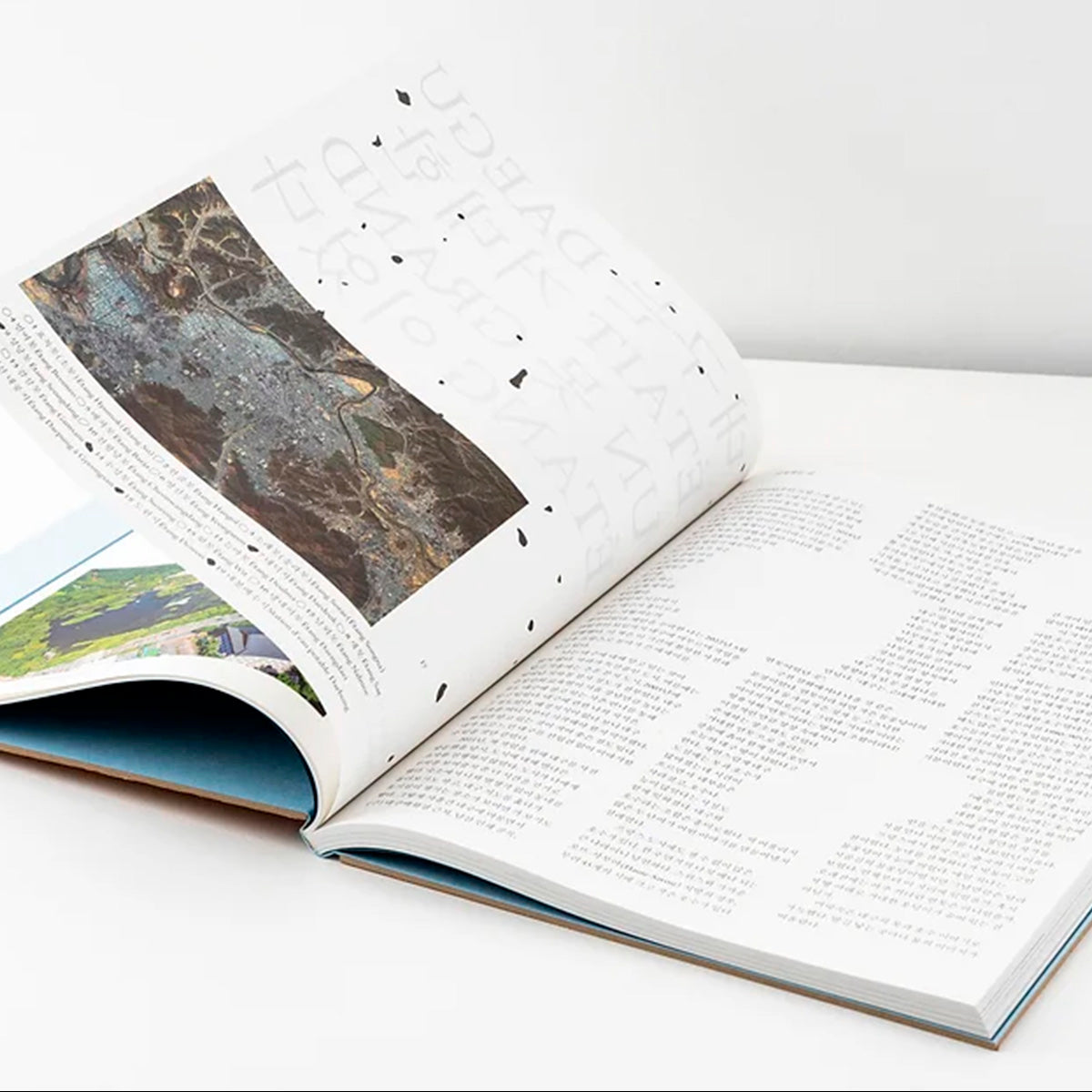 Daegu was a big pond