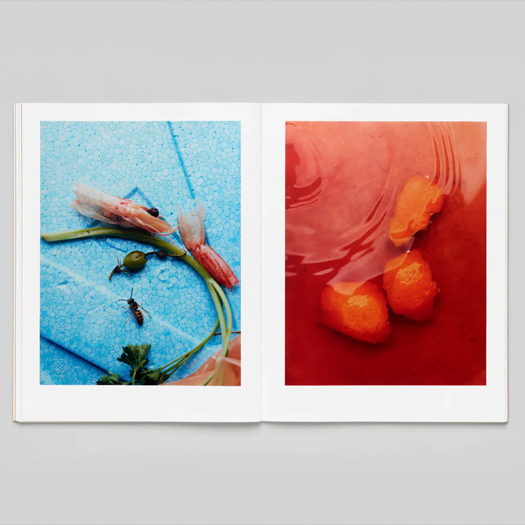 Charles NEgre Sidewalk Stills /franCais/anglais