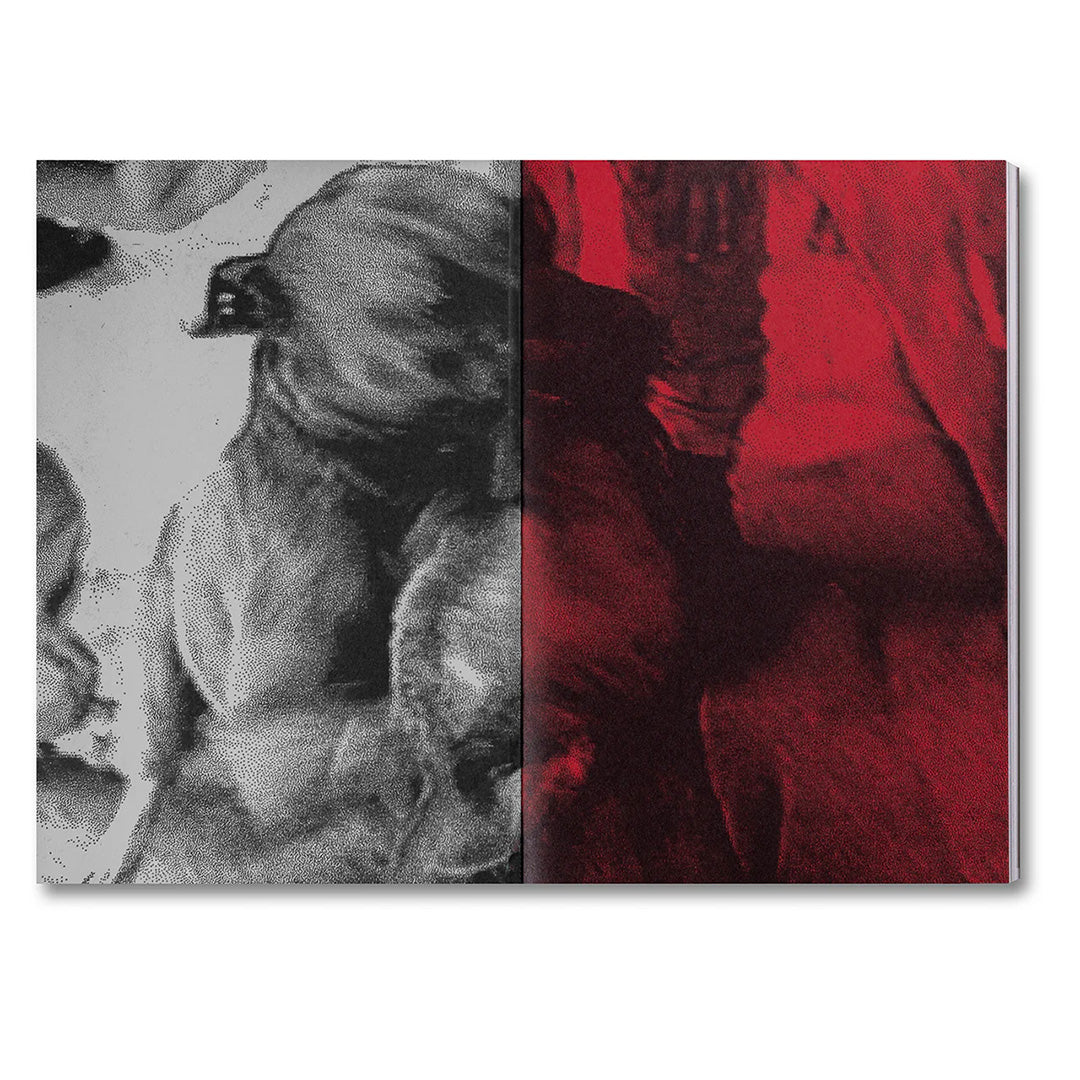 Unleashing Amores Perros