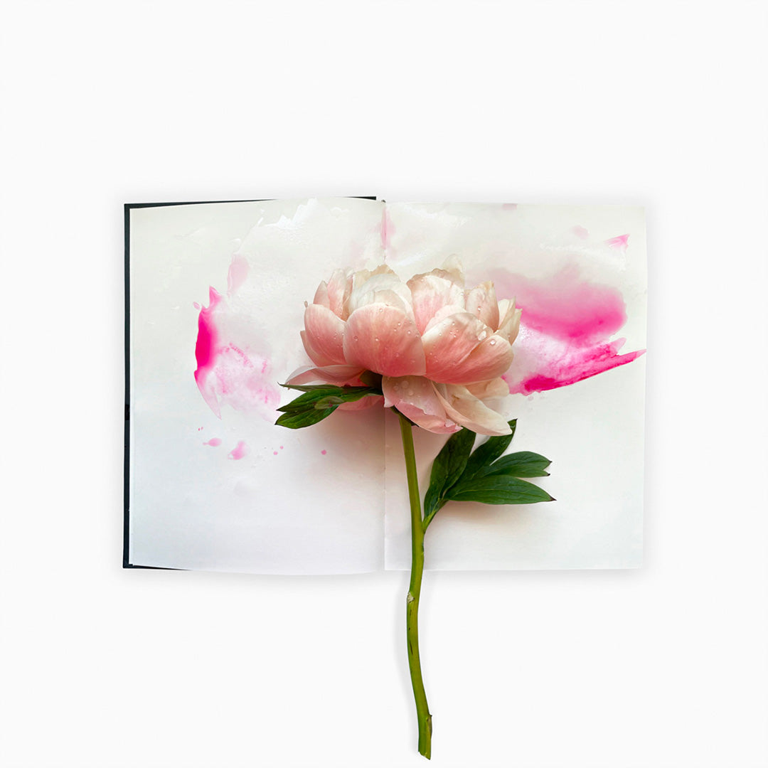 Ephemeral Field Journal