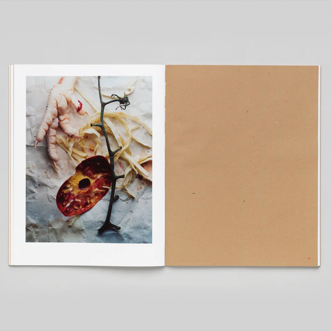 Charles NEgre Sidewalk Stills /franCais/anglais