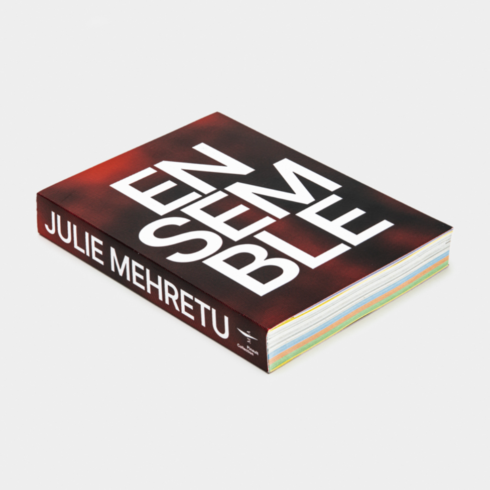 Ensemble Julie Mehretu
