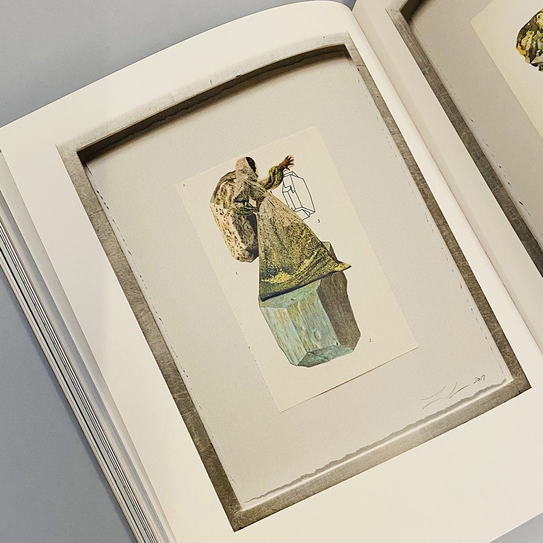 The Rose : A Circular Genealogy of Collage