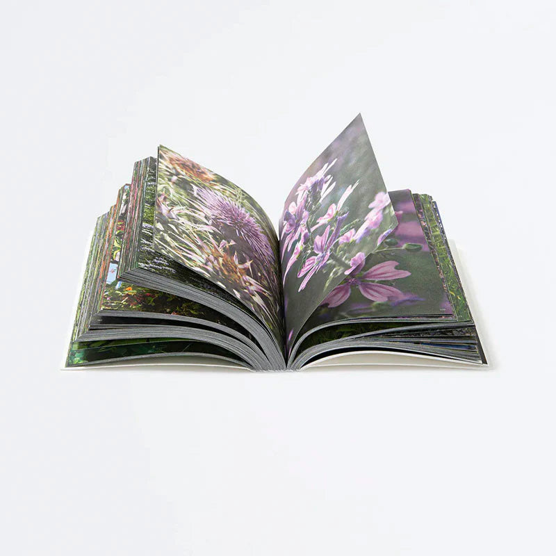 Sold - tuttifiori.Rar