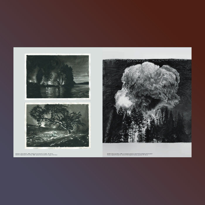 David Claerbout: Silence of the Lens