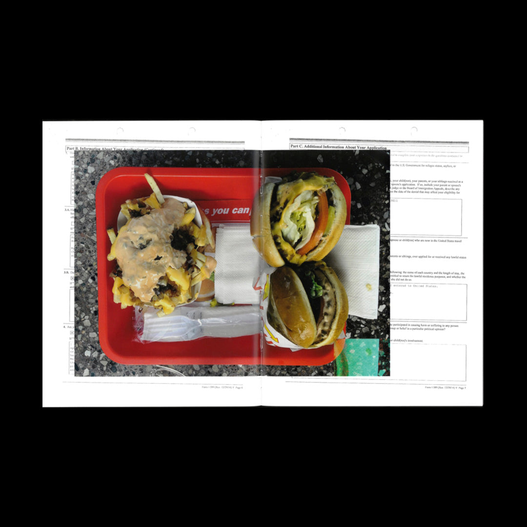 Arash Fayez: Apolis /French/English/Spanish