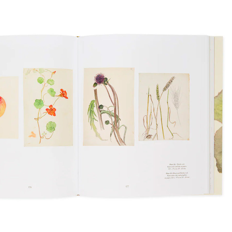 Hilma af Klint What Stands Behind the Flowers /anglais