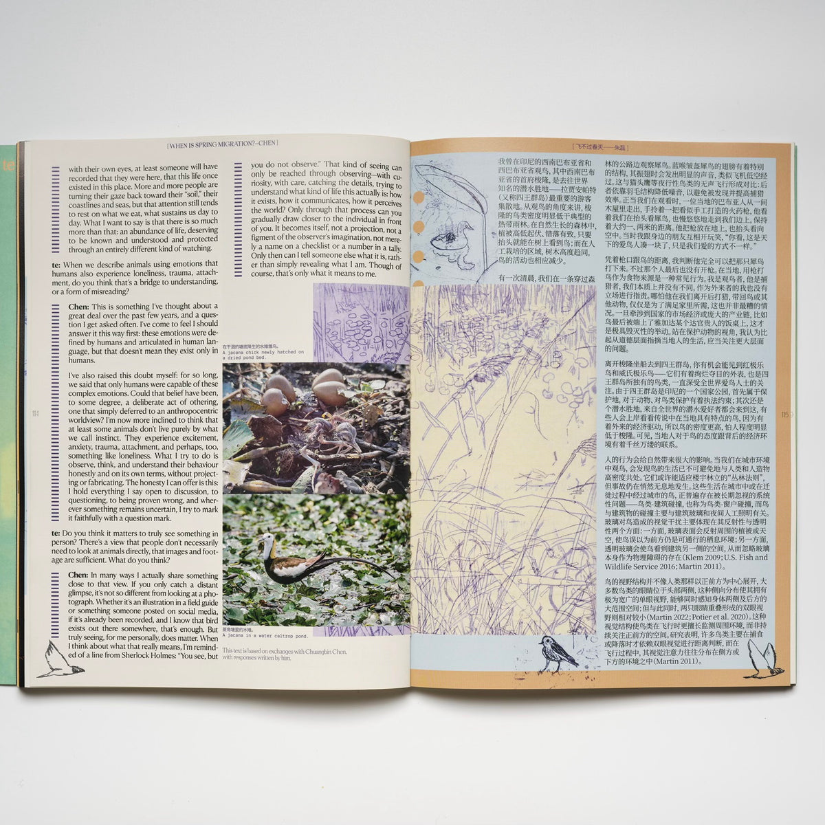 te magazine No.4 Spinal Memory
