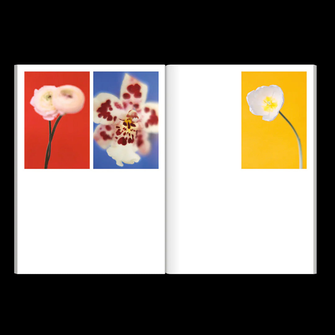 The Chromatics of Flowers