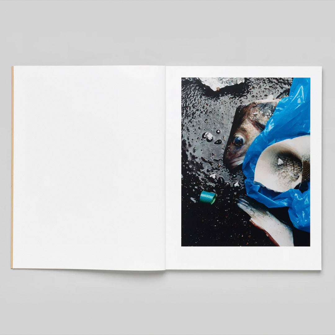 Charles NEgre Sidewalk Stills /franCais/anglais