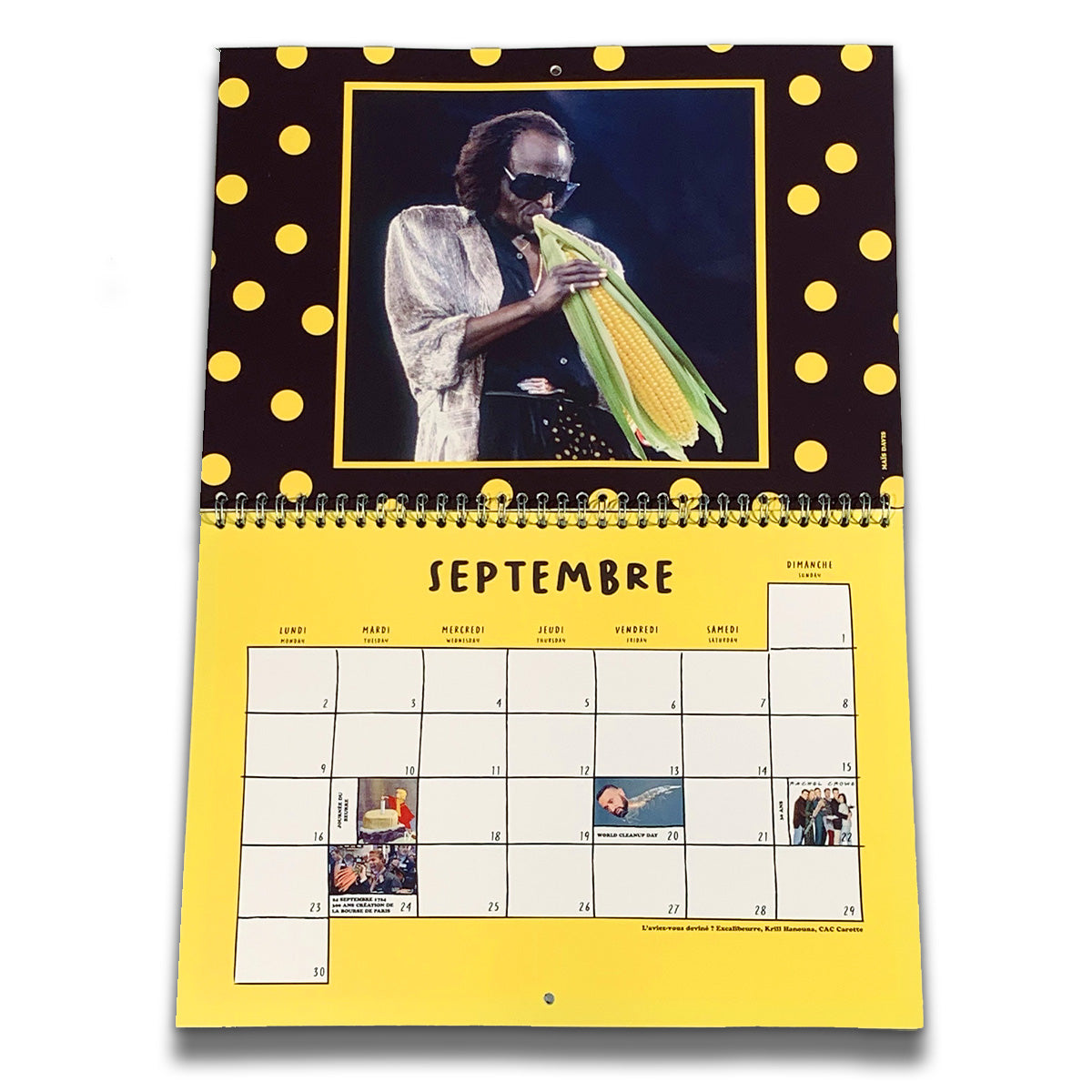 366 Days of Shit Calendar