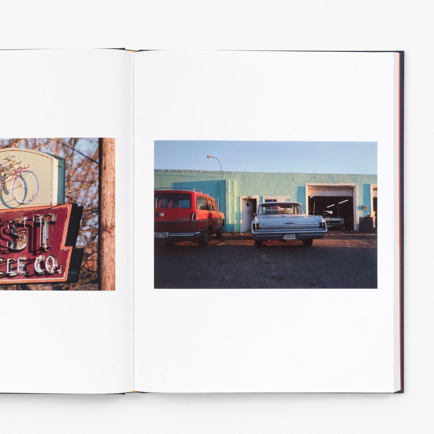 William Eggleston The Last Dyes