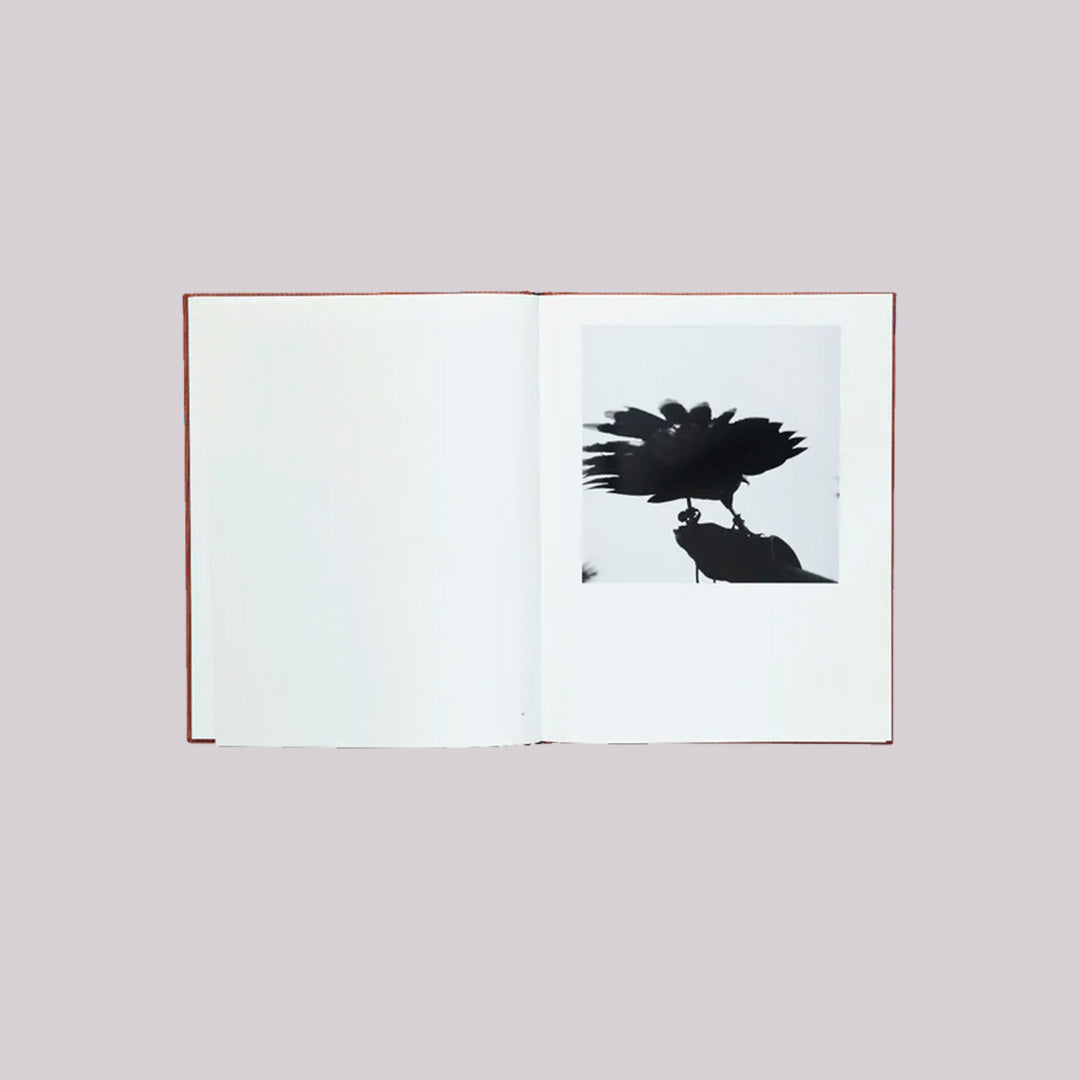 Des Oiseaux - Graciela Iturbide (version française)