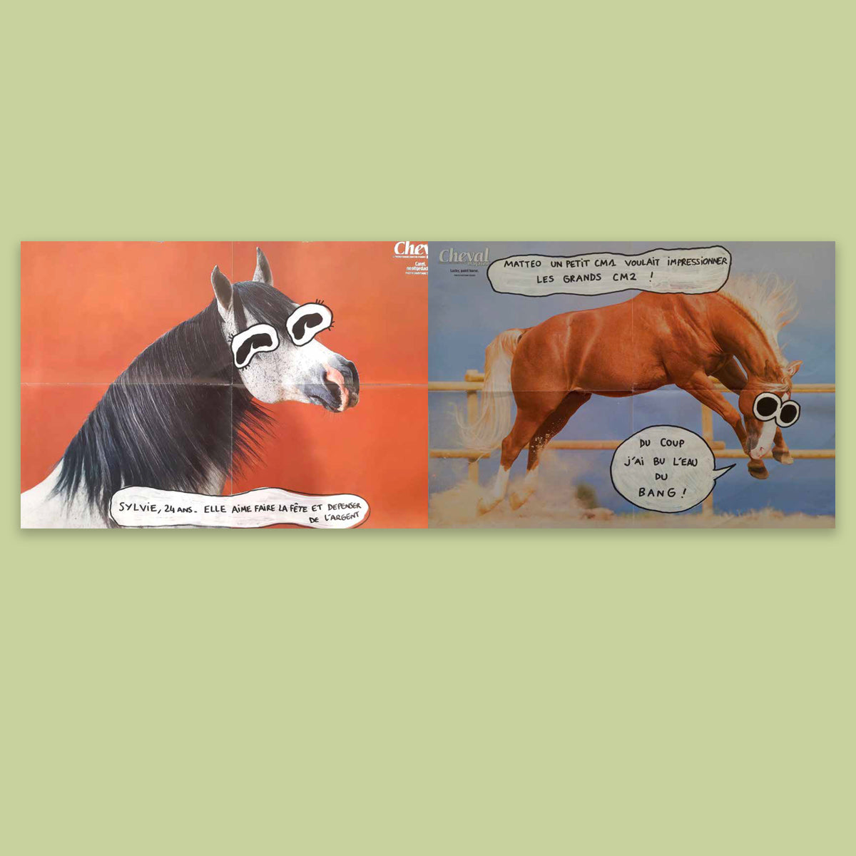 Horse Passion - Volume 3